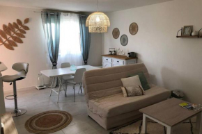 Appartement cosy avec jardin à Blagnac.